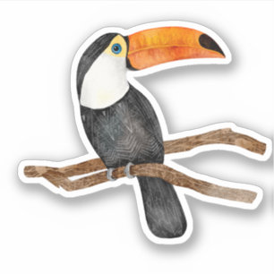 Sticker Toucan Oiseau Tropical Nature
