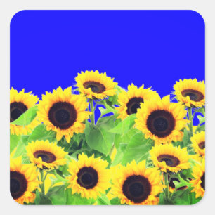 Sticker Tournesol Ukraine Drapeaux couleurs - Libe