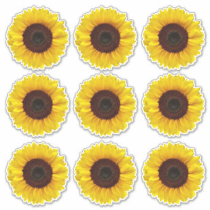 Sticker Tournesols jaunes vifs Baiser Vinyle