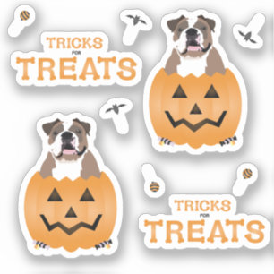 Sticker Tours de friandises Bulldog anglais Orange