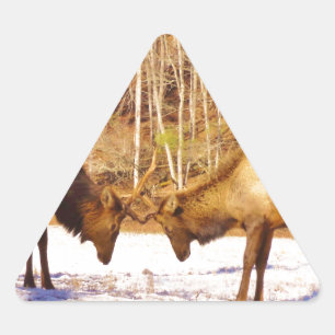 Sticker Triangulaire 2~ deux Bull Elk dans la neige