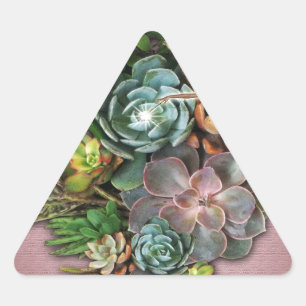 Sticker Triangulaire Affichages successifs