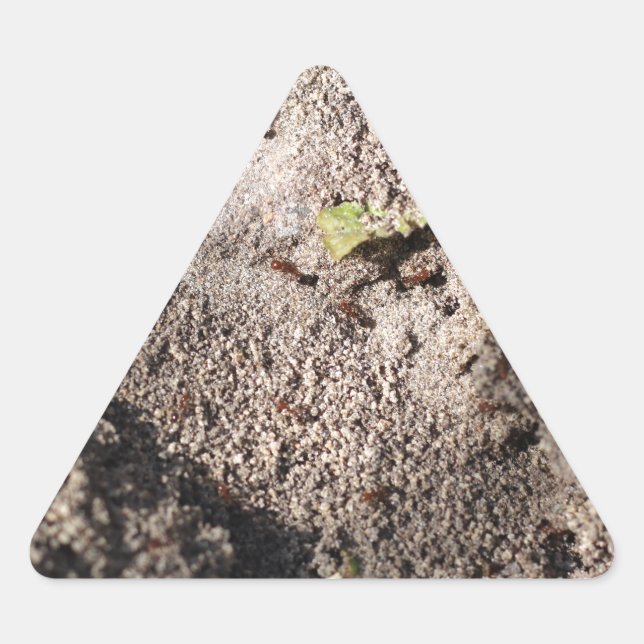 Sticker Triangulaire Ants Go Marching (Devant)