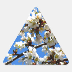 Sticker Triangulaire Arbre de printemps blanc fleuri blanc