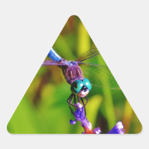 Sticker Triangulaire Arc en ciel libellule et fleur