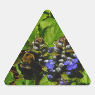 Sticker Triangulaire Baume d'abeille pourpre et bourdon