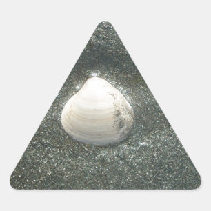 Sticker Triangulaire Beau coquillage dans le sable : Un souvenir salé