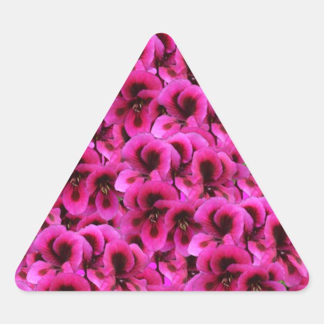 Sticker Triangulaire "Beauté audacieuse : Fleurs de géranium magenta se (Devant)