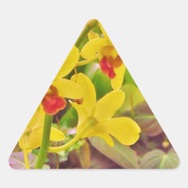 Sticker Triangulaire Beautiful Yellow autumn (Devant)