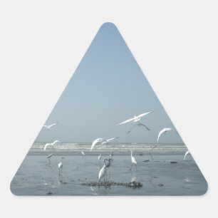 Sticker Triangulaire Belles grues volant au-dessus de l'eau Ballet de l