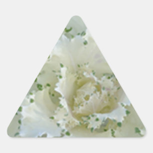 Sticker Triangulaire Cactus