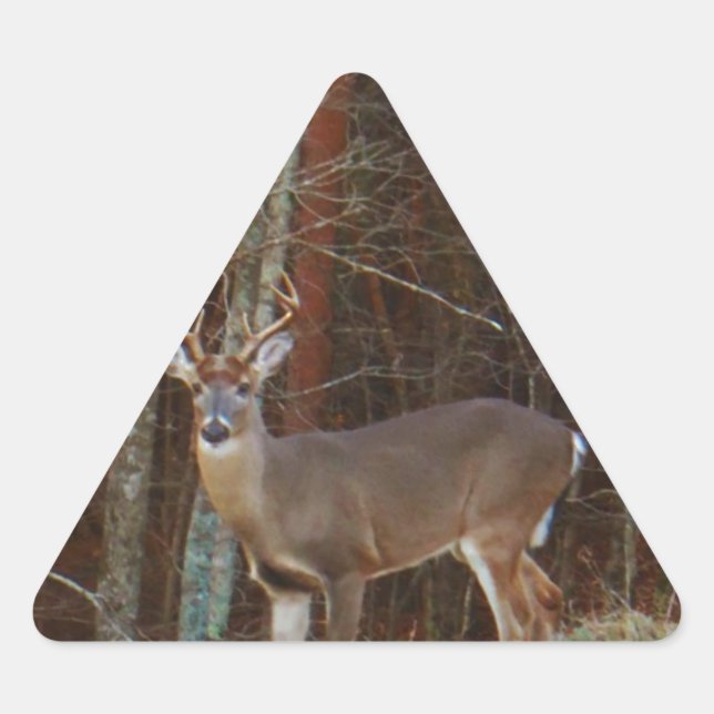 Sticker Triangulaire Camouflage en chêne de cerfs-volants (Devant)