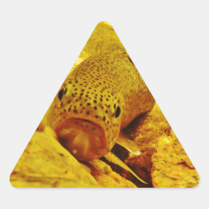 Sticker Triangulaire Canal en flux