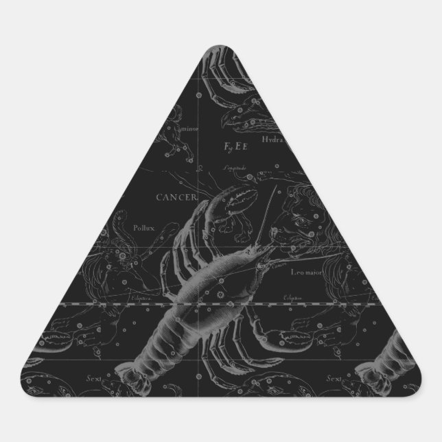 Sticker Triangulaire Cancer Constellation Hevelius 1690 sur Noir (Devant)