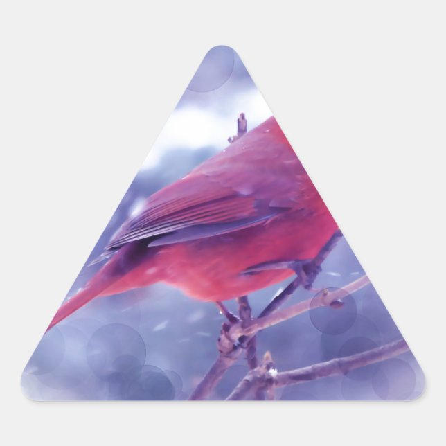 Sticker Triangulaire Cardinal rouge au Blizzard (Devant)