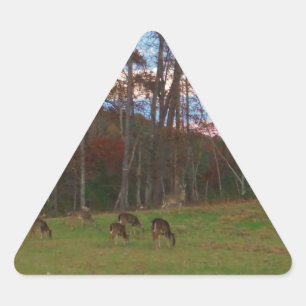 Sticker Triangulaire Champ de cerf et un SunSet rose