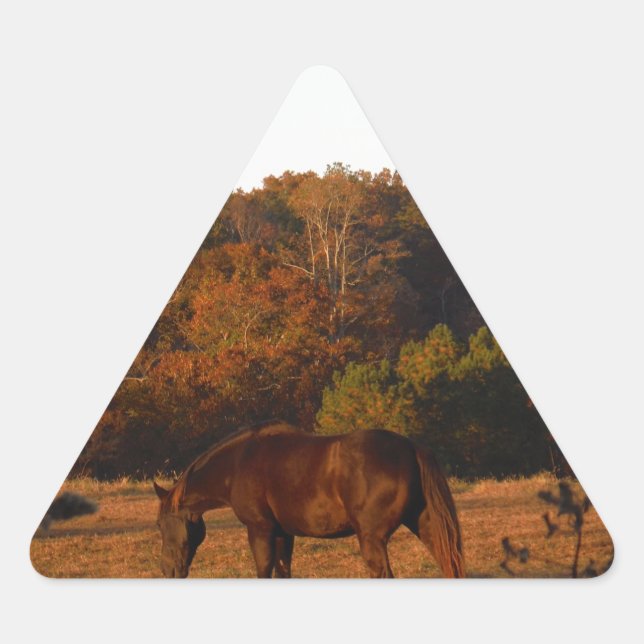 Sticker Triangulaire Cheval Brown rouge, bois d'automne. (Devant)