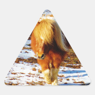 Sticker Triangulaire Cheval miniature Brown et crème dans la neige.