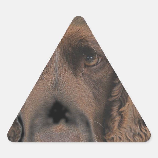 Sticker Triangulaire Chiens Springer anglais (Devant)