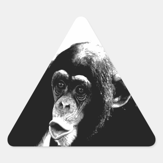 Sticker Triangulaire Chimpanzé noir blanc (Devant)
