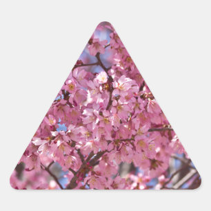 Sticker Triangulaire Ciel Rose de Cerisier Sakura