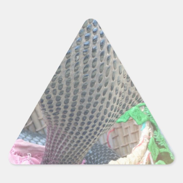 Sticker Triangulaire Cobra dans le panier Imprimer (Devant)