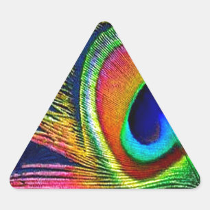 Sticker Triangulaire Colorful Peacock Feather