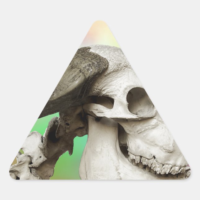 Sticker Triangulaire Crâne de buffle sur un Arrière - plan d'aquarelle (Devant)