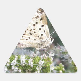 Sticker Triangulaire Crème étonnante et papillon au chocolat