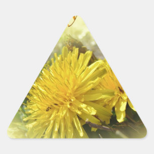 Sticker Triangulaire Dandelions - Un Hi ensoleillé