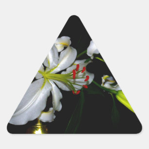 Sticker Triangulaire Design irlandais en laiton et en fleur