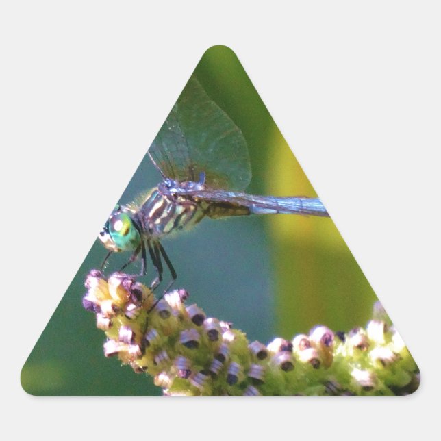 Sticker Triangulaire Dragonfly aux yeux turquoises (Devant)