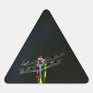 Sticker Triangulaire Dragonfly bleu et noir sur gazon vert et rouge
