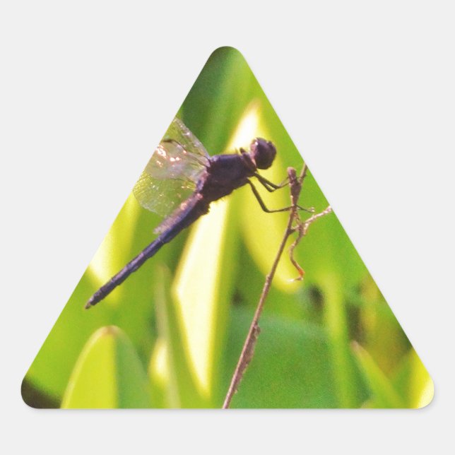 Sticker Triangulaire Dragonfly Blue et noir sur l'herbe. (Devant)