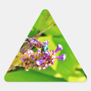 Sticker Triangulaire Dragonfly de couleur arc-en-ciel sur une fleur ros