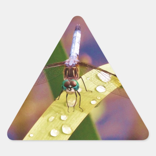 Sticker Triangulaire Dragonfly sur la feuille de pluie (Devant)