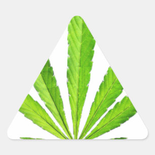 STICKER TRIANGULAIRE FEUILLE DE MOUSSE
