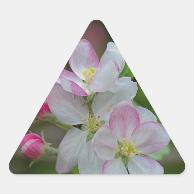 Sticker Triangulaire Fleur d'Apple (Devant)