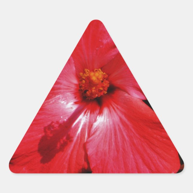 Sticker Triangulaire Fleur d'Hibiscus rouge rose chaud sur noir (Devant)