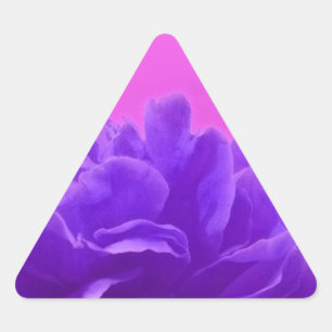 Sticker Triangulaire Framboise pourpre élégante florale