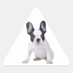 Sticker Triangulaire Frenchie - Chien français