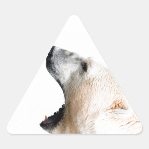 Sticker Triangulaire Grondement d'ours blanc