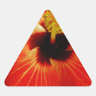 Sticker Triangulaire Hibiscus rouge
