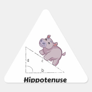 Sticker Triangulaire Hippotenuse Math drôle