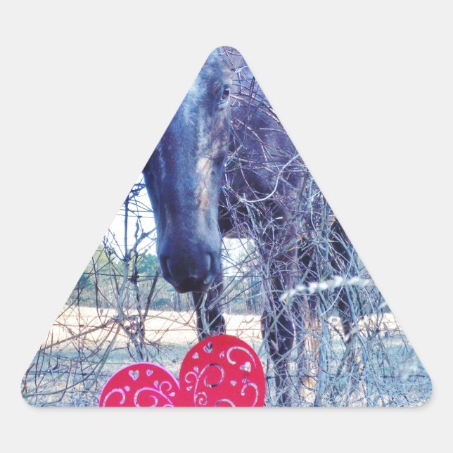Sticker Triangulaire Horse et heart (Devant)