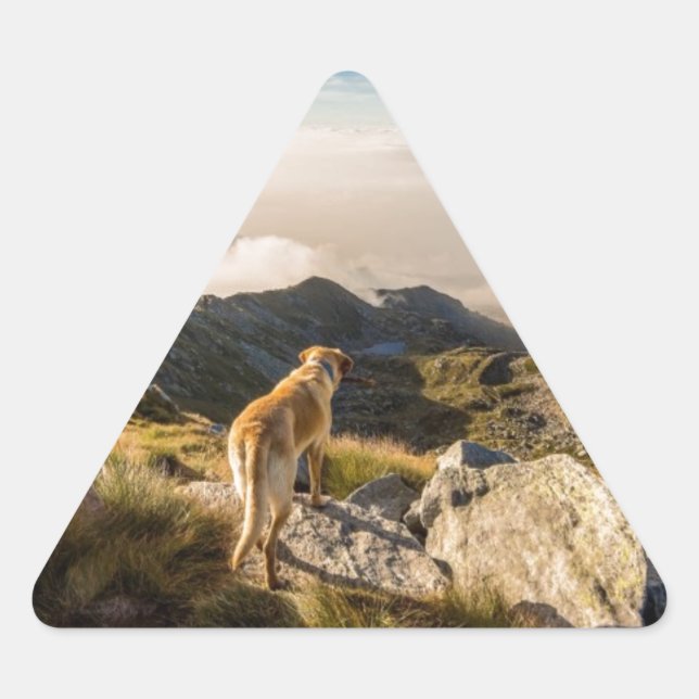 Sticker Triangulaire Le voyage (Devant)