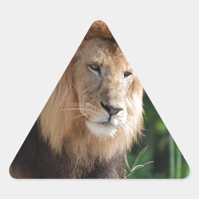 Sticker Triangulaire Lion à ressort (Devant)