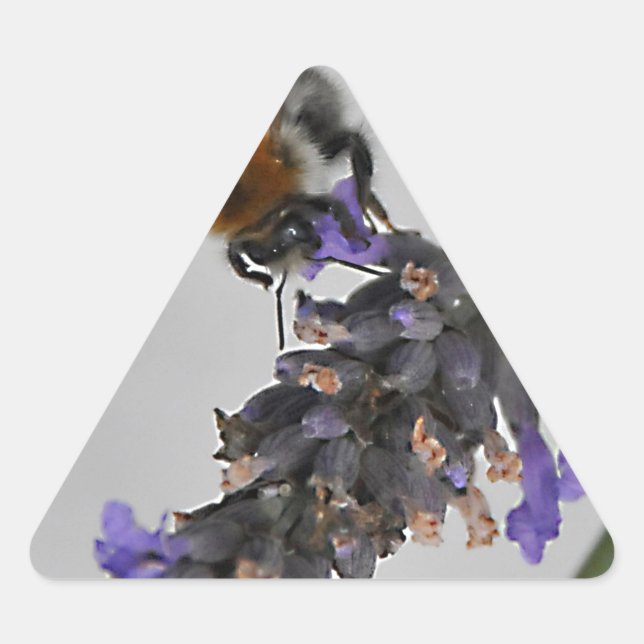 Sticker Triangulaire Natures de merveilleux travailleurs (Devant)