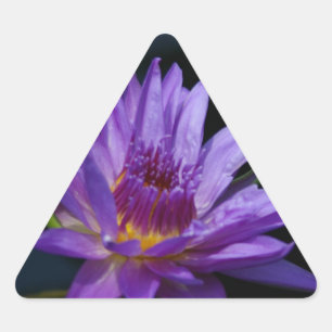 Sticker Triangulaire Nénuphar Lotus