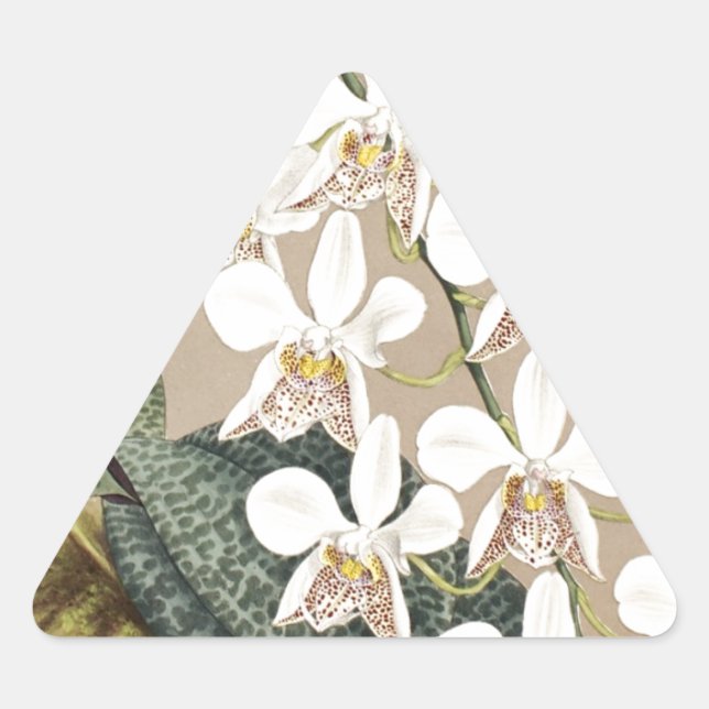 Sticker Triangulaire Orchidées (Devant)
